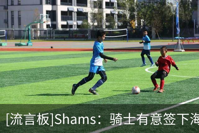 [流言板]Shams：骑士有意签下海佐尼亚，将其视为詹姆斯的“替代者”